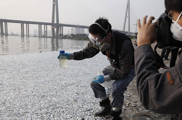 農業部：天津大面積死魚因缺氧 未發現氰化物