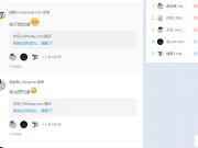 一個影響力大、實戰、干貨的SEO案例