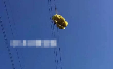 男子玩滑翔傘遇險：掛在11萬伏高壓線上