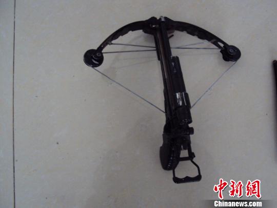 男子網(wǎng)購(gòu)弓弩毒針盜殺家犬被發(fā)現(xiàn)后用毒針傷人