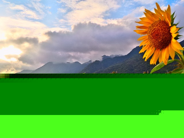 涉足拍照手機(jī)?華碩放出新品發(fā)布會(huì)邀請(qǐng)函 