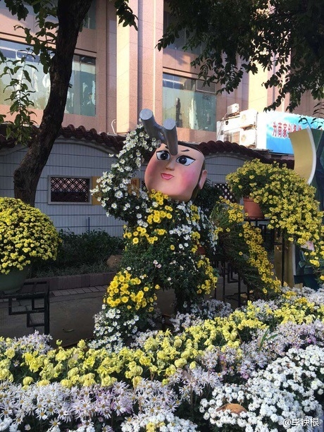 廣州驚現菊花葫蘆娃：造型雷人 網友看瞎