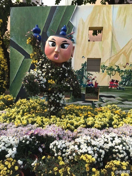廣州驚現菊花葫蘆娃：造型雷人 網友看瞎