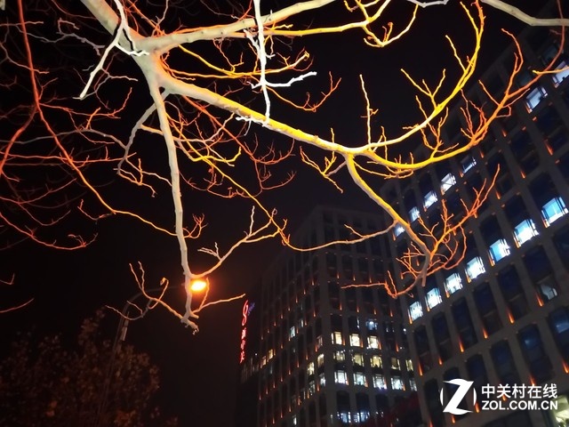 樣張秀：中興小鮮3感受北國冬夜風光