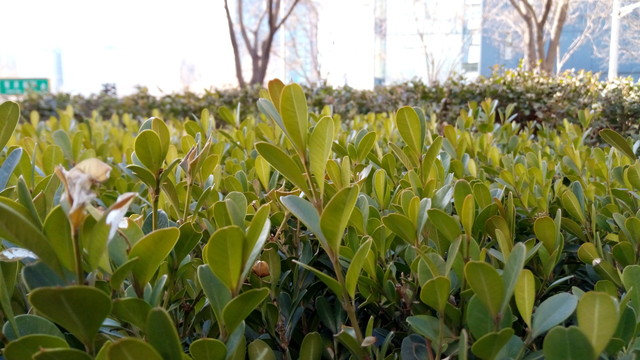 聯發科八核支持指紋 有糖手機U7評測 