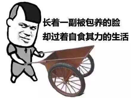 主要看氣質，10款高顏值APP帶你一起奔小康