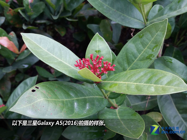 雙2.5D+全網(wǎng)通4G 三星A5(2016)購機手冊