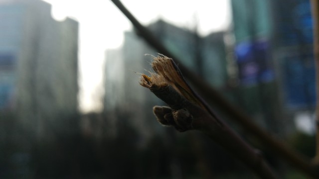 AXON天機(jī)MAX評(píng)測(cè)（待整理） 