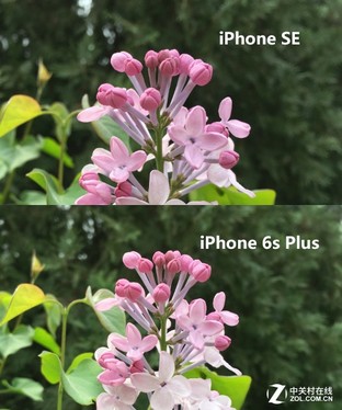 iPhone SE買前必修課 這些常識你知道嗎 