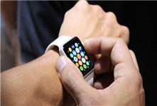 apple watch2 6月上市？采用OLED屏幕