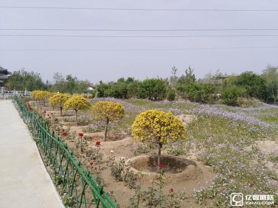 華為G9評(píng)測(cè)：與華為P9/榮耀V8定位不同