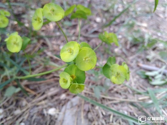 華為G9評(píng)測(cè)：與華為P9/榮耀V8定位不同