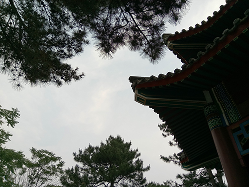 樂(lè)2和魅藍(lán)note3拍照樣張對(duì)比