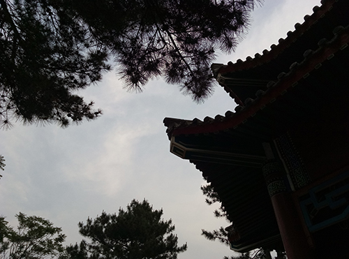 樂(lè)2和魅藍(lán)note3拍照樣張對(duì)比