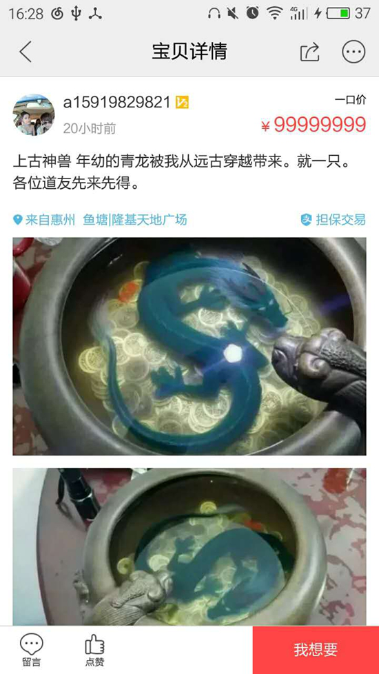 圖片13