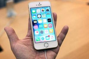禍起蕭墻！低價(jià)iPhone SE拖累高端iPhone6s銷量