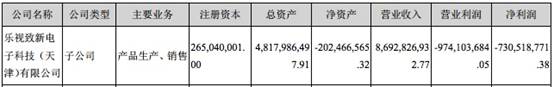 樂視2015年報截圖