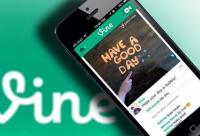 傳Twitter欲出售短視頻服務(wù)Vine 但買家出價(jià)極低