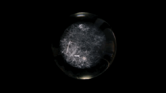 想感受宇宙浩瀚不一定在電影里 這個玻璃球就行