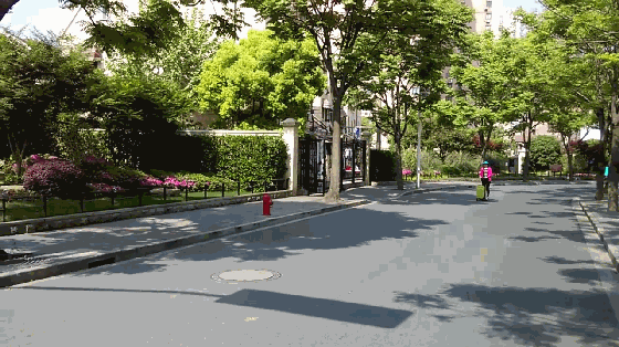 這不就是大媽買(mǎi)菜的神器？只不過(guò)帶個(gè)電動(dòng)滑板車(chē)