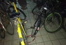 兩名護(hù)士給ofo共享單車(chē)上鎖 處盜竊罪被行政拘留5日