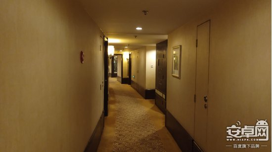 58be53c365a53.jpg