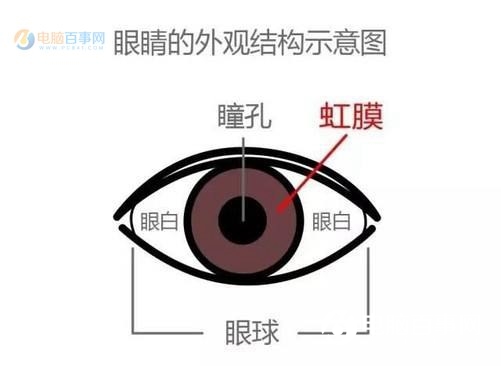 虹膜識別和眼紋識別哪個好？虹膜識別和眼紋識別的區別