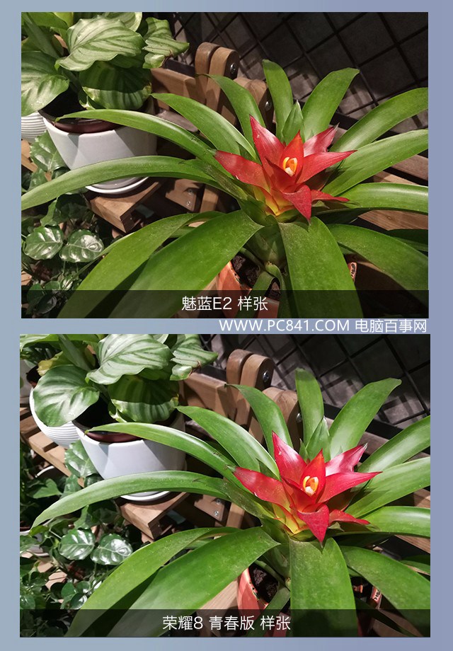 魅藍(lán)E2和榮耀8青春版拍照哪個(gè)好 樣張對(duì)比