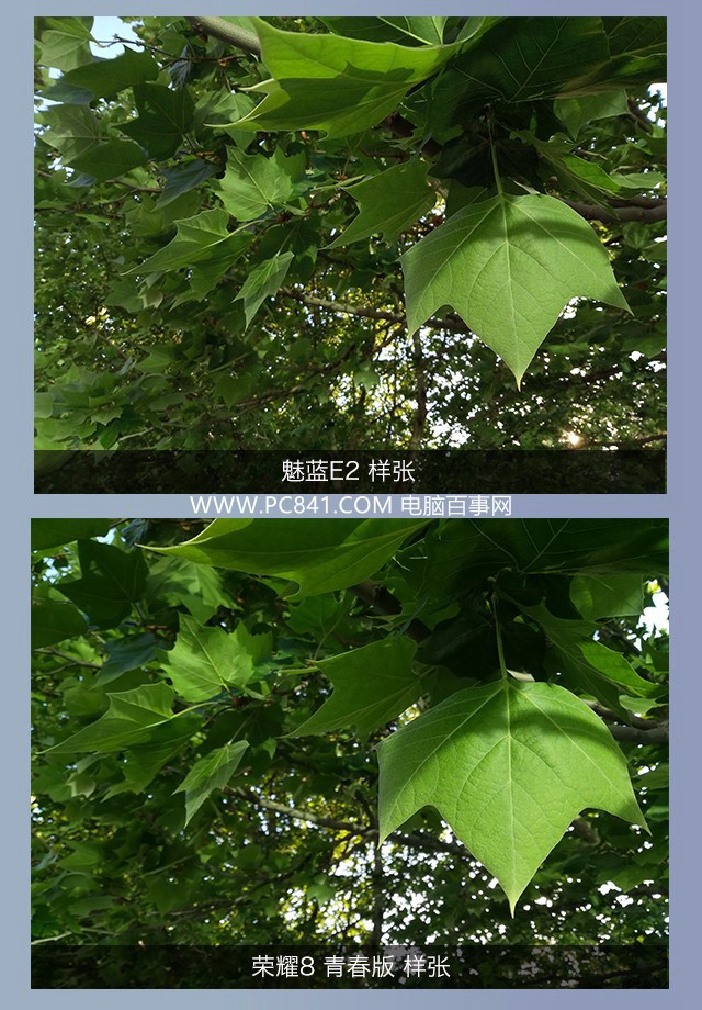 魅藍(lán)E2和榮耀8青春版拍照哪個(gè)好 樣張對(duì)比