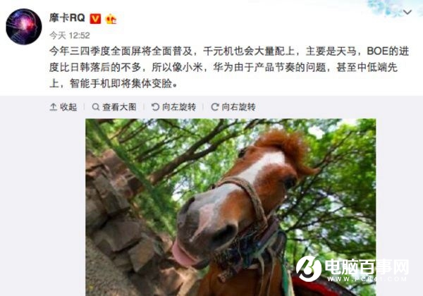 下半年全面屏大戰(zhàn) 千元機(jī)將集體變臉