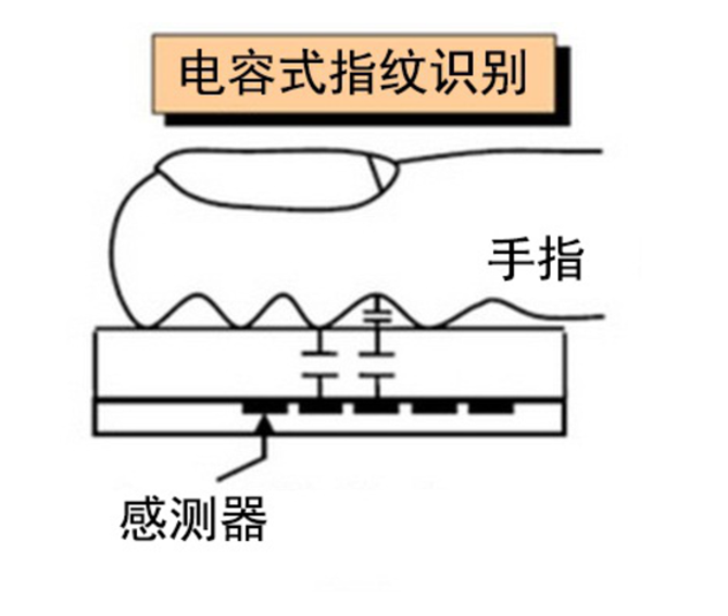 手機(jī)指紋識(shí)別有幾種？聊聊手機(jī)指紋識(shí)別那些事