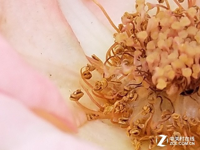 vivo X20評測：屏幕2.0時代顛覆的開端（不發(fā)） 