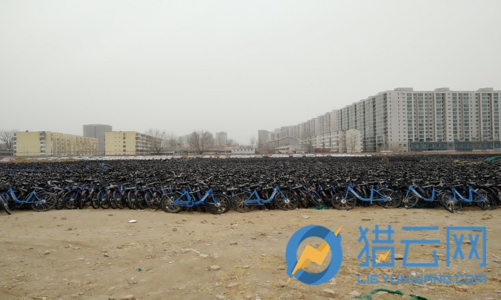 街頭消失的小藍單車去了哪？北五環附近停車場近6萬輛等待著重回市場