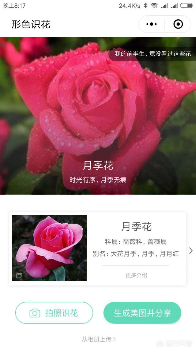 好玩的微信小程序有哪些？十款實用微信小程序推薦