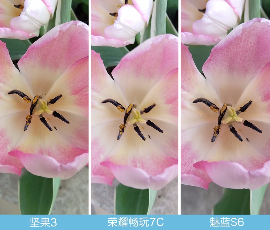 堅果3、榮耀暢玩7C、魅藍S6拍照樣張對比 千元機拍照哪個好?
