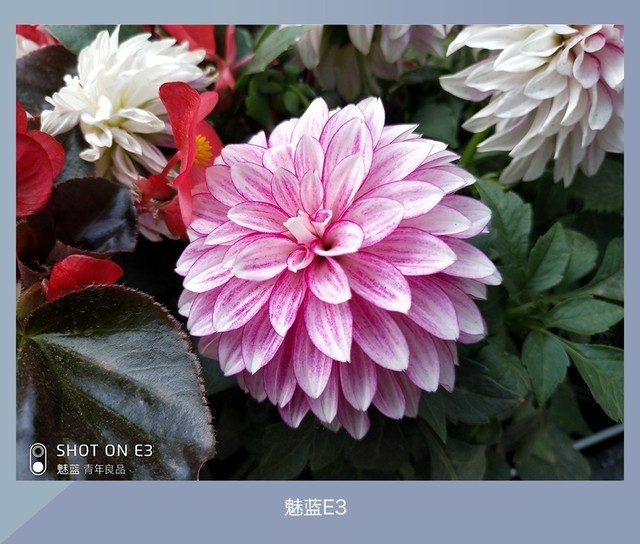 360N7、魅藍E3、紅米Note5對比評測 千元強機你選誰？