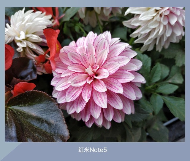 360N7、魅藍E3、紅米Note5對比評測 千元強機你選誰？