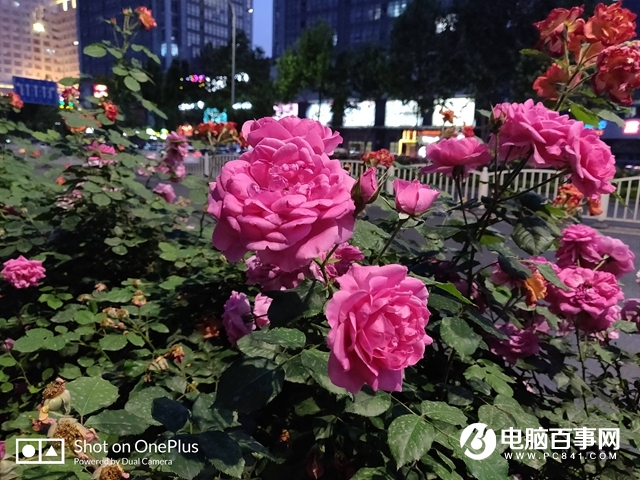 一加手機6怎么樣 值得買嗎？一加6評測