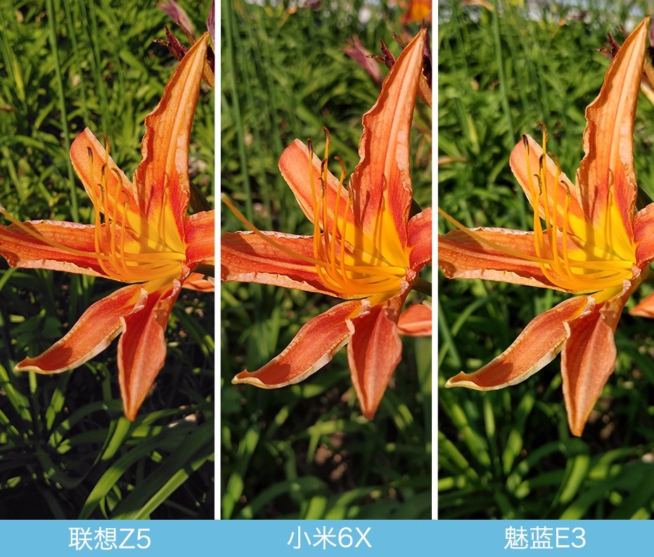 聯(lián)想Z5、小米6X、魅藍(lán)E3拍照對比評(píng)測 千元機(jī)相機(jī)對決