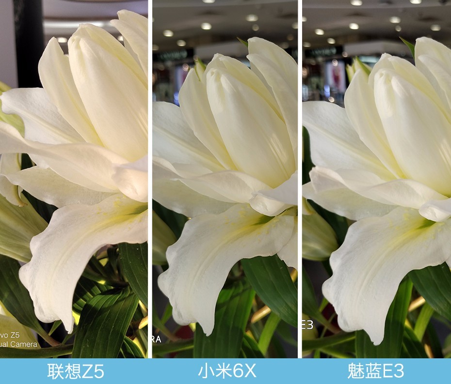 聯(lián)想Z5、小米6X、魅藍(lán)E3拍照對比評(píng)測 千元機(jī)相機(jī)對決