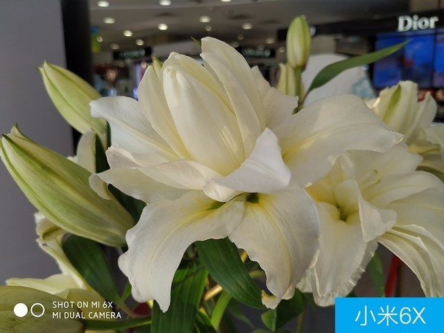 聯(lián)想Z5、小米6X、魅藍(lán)E3拍照對比評(píng)測 千元機(jī)相機(jī)對決