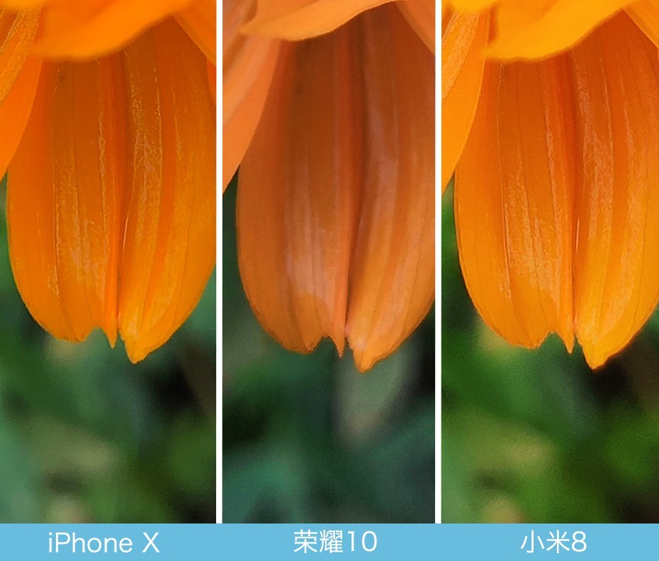 iPhone X、榮耀10、小米8拍照對比評測 蘋果秒殺一切？
