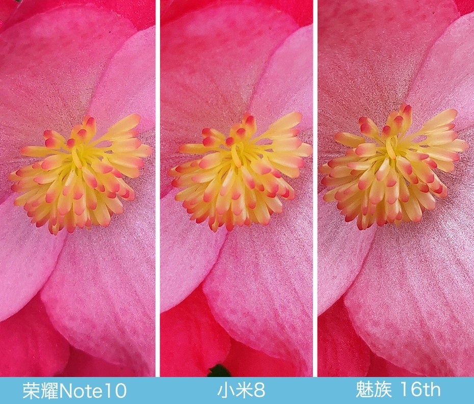魅族16、小米8、榮耀Note10拍照對比評測 國產旗艦相機對決