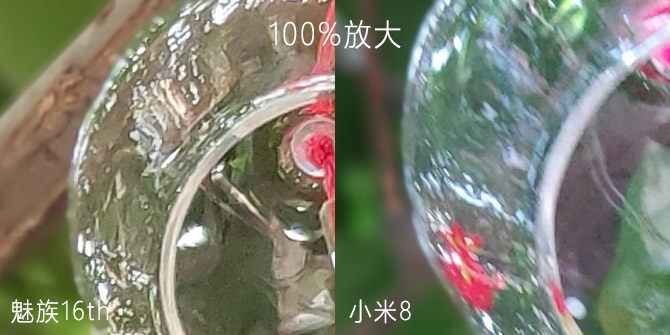 77957.jpg