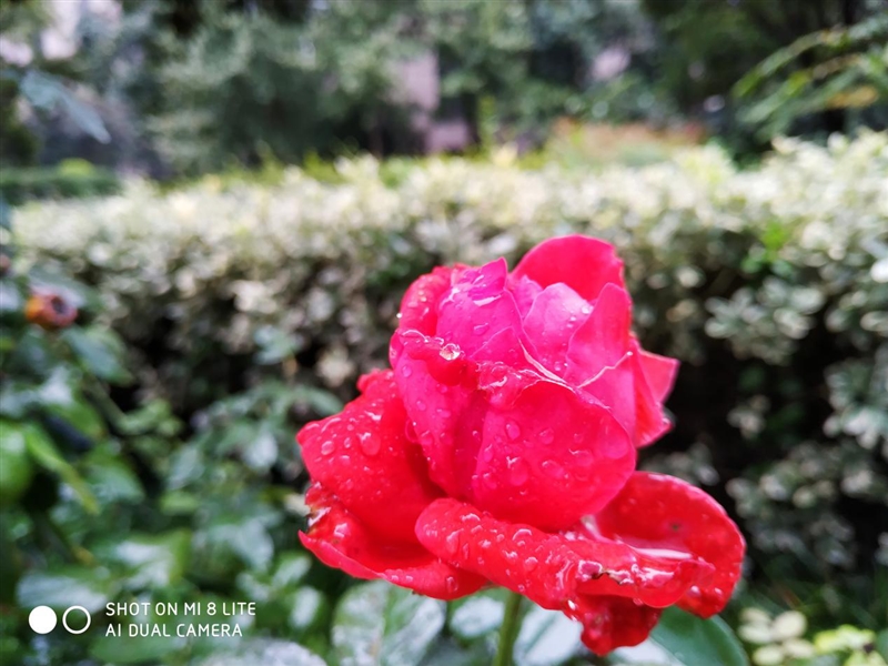 s_72492ba4dac244ae98add81a29430157.jpg