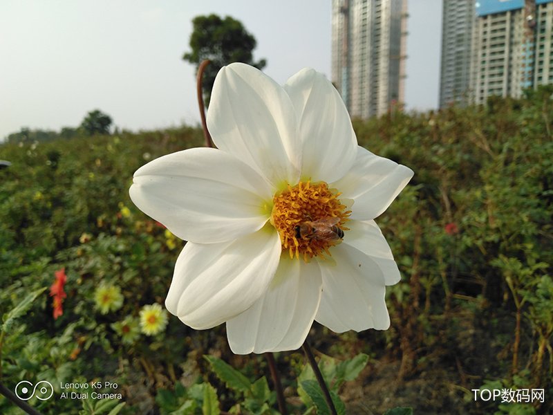 聯想K5 Pro