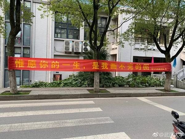 各大高校開始女生節條幅大戰 網友：果然是別人家的大學