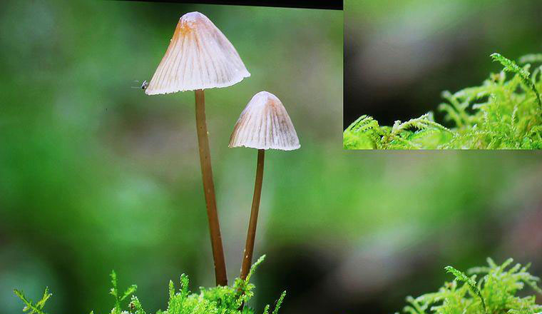 號稱百米無衰減究竟怎么樣？開博爾光纖HDMI線剖析評測